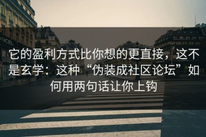 它的盈利方式比你想的更直接，这不是玄学：这种“伪装成社区论坛”如何用两句话让你上钩