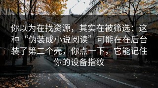 你以为在找资源，其实在被筛选：这种“伪装成小说阅读”可能在在后台装了第二个壳，你点一下，它能记住你的设备指纹