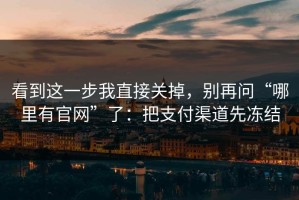 看到这一步我直接关掉，别再问“哪里有官网”了：把支付渠道先冻结