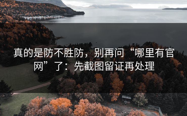 真的是防不胜防，别再问“哪里有官网”了：先截图留证再处理