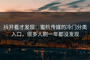 拆开看才发现：蜜桃传媒的冷门分类入口，很多人刷一年都没发现