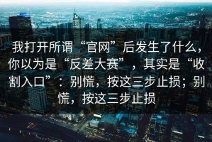 我打开所谓“官网”后发生了什么，你以为是“反差大赛”，其实是“收割入口”：别慌，按这三步止损；别慌，按这三步止损