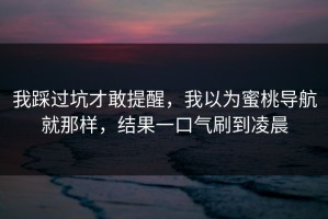 我踩过坑才敢提醒，我以为蜜桃导航就那样，结果一口气刷到凌晨