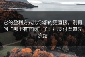 它的盈利方式比你想的更直接，别再问“哪里有官网”了：把支付渠道先冻结