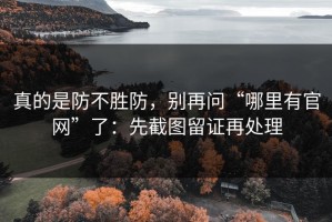 真的是防不胜防，别再问“哪里有官网”了：先截图留证再处理