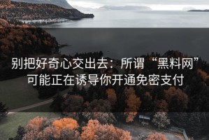别把好奇心交出去：所谓“黑料网”可能正在诱导你开通免密支付