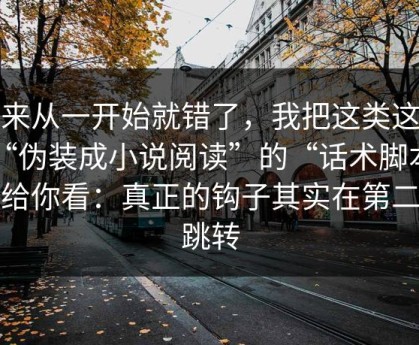 原来从一开始就错了，我把这类这种“伪装成小说阅读”的“话术脚本”拆给你看：真正的钩子其实在第二次跳转