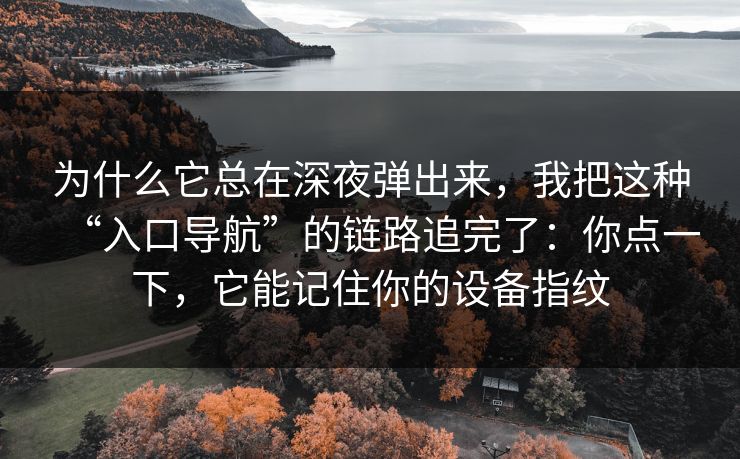 为什么它总在深夜弹出来，我把这种“入口导航”的链路追完了：你点一下，它能记住你的设备指纹