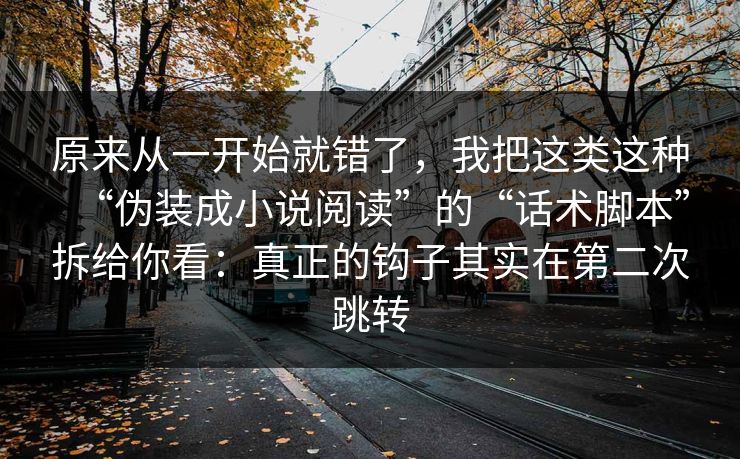 原来从一开始就错了，我把这类这种“伪装成小说阅读”的“话术脚本”拆给你看：真正的钩子其实在第二次跳转
