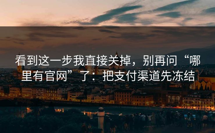 看到这一步我直接关掉，别再问“哪里有官网”了：把支付渠道先冻结