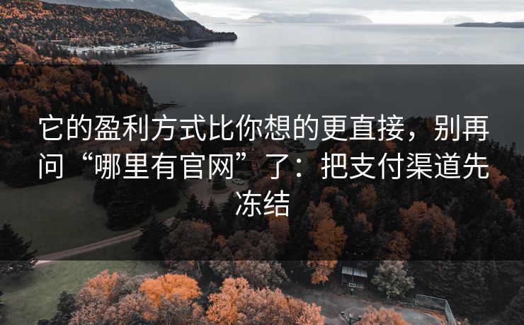 它的盈利方式比你想的更直接，别再问“哪里有官网”了：把支付渠道先冻结