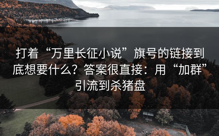 打着“万里长征小说”旗号的链接到底想要什么？答案很直接：用“加群”引流到杀猪盘