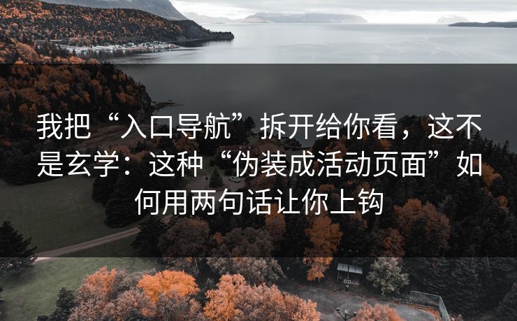 我把“入口导航”拆开给你看，这不是玄学：这种“伪装成活动页面”如何用两句话让你上钩