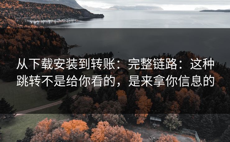从下载安装到转账：完整链路：这种跳转不是给你看的，是来拿你信息的