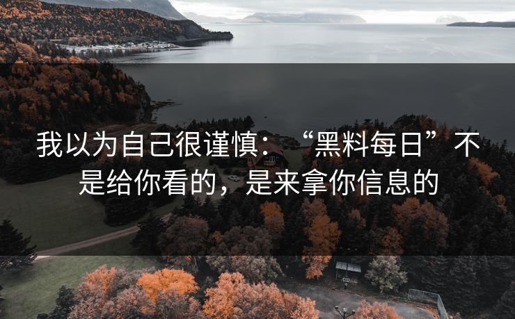 我以为自己很谨慎：“黑料每日”不是给你看的，是来拿你信息的