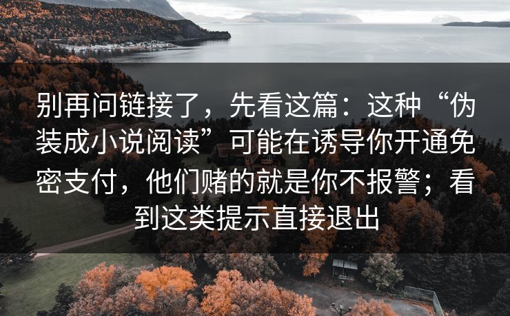 别再问链接了，先看这篇：这种“伪装成小说阅读”可能在诱导你开通免密支付，他们赌的就是你不报警；看到这类提示直接退出